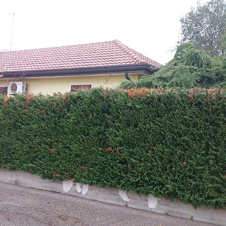 Villa Polesine *